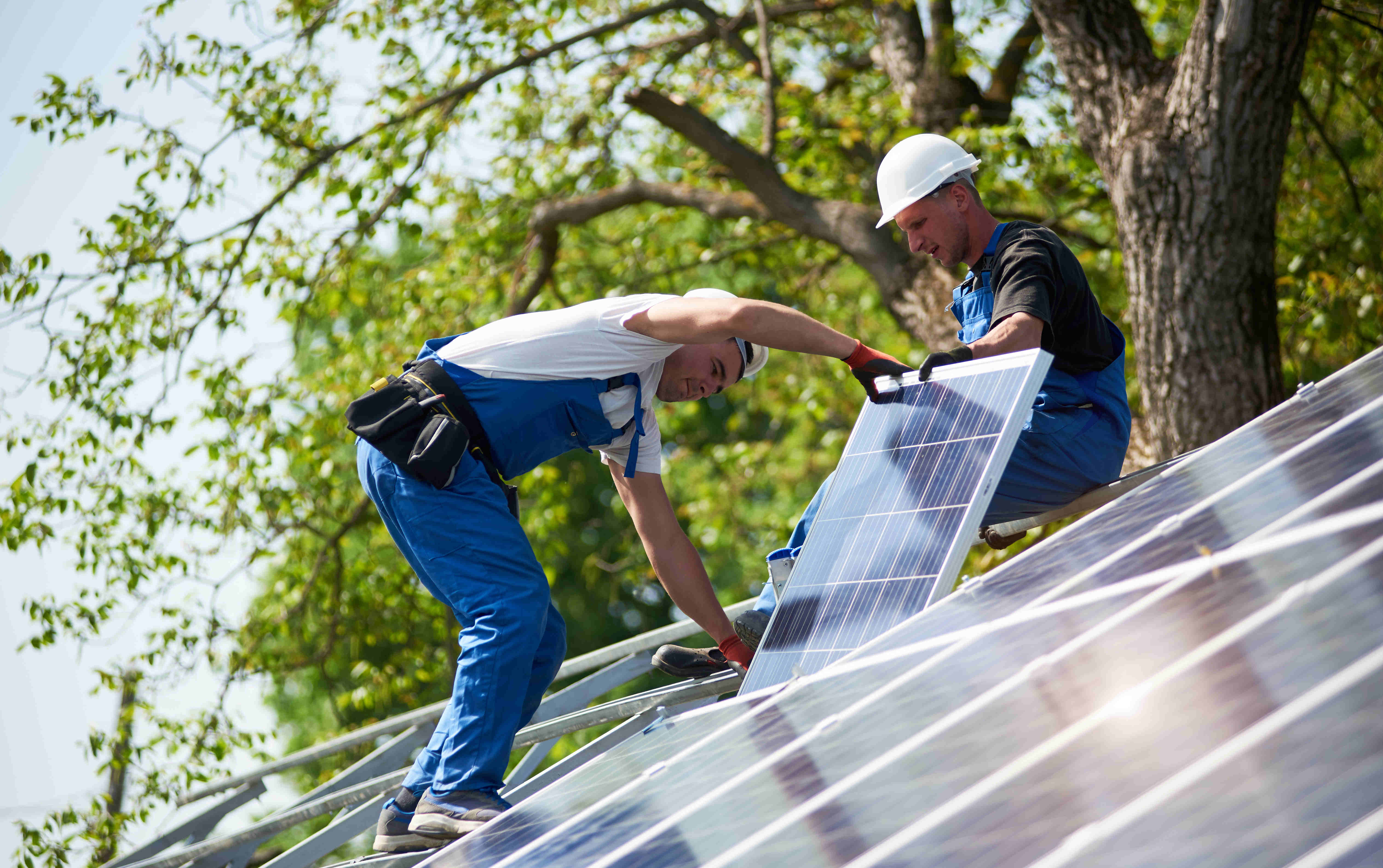 Una ricerca Scopri un terzo dei partecipanti Considera l'acquisto di un sistema fotovoltaico in Germania